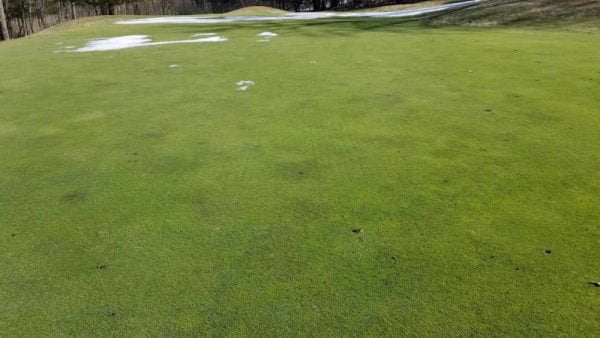 club de golf dufferin heights